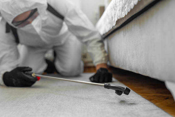 Professional Termite Control technician working in Lake County County, SD